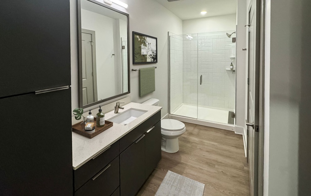 large bathroom with walk-in shower